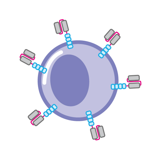 修改T細胞的基因