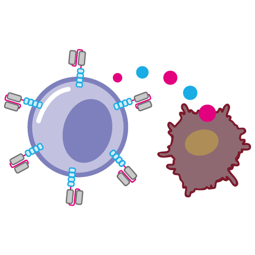 CAR-T細胞消滅癌細胞