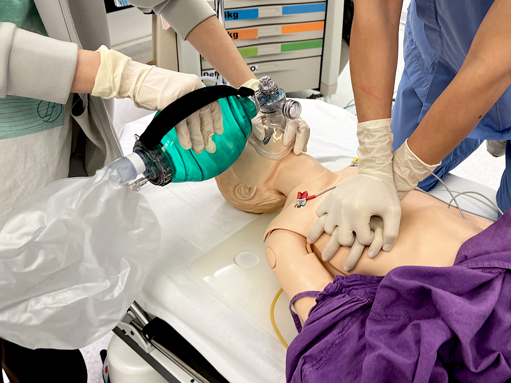 Pediatric Advanced Life Support Course (PALS)